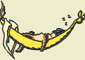 ferret banana hammock